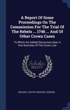 A REPORT OF SOME PROCEEDINGS ON THE COMM