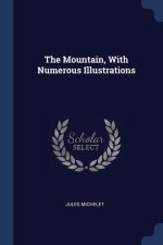 THE MOUNTAIN, WITH NUMEROUS ILLUSTRATION