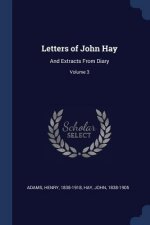LETTERS OF JOHN HAY: AND EXTRACTS FROM D