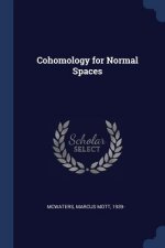 COHOMOLOGY FOR NORMAL SPACES