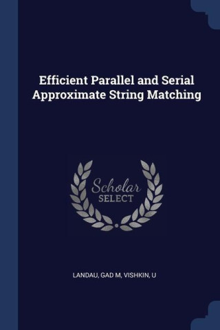 EFFICIENT PARALLEL AND SERIAL APPROXIMAT
