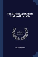 THE ELECTROMAGNETIC FIELD PRODUCED BY A