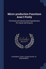 MICRO-PRODUCTION FUNCTIONS AREN'T PRETTY