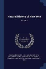 NATURAL HISTORY OF NEW YORK: PT. I:PT. 1