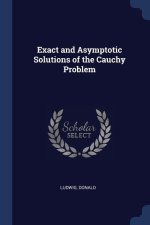 EXACT AND ASYMPTOTIC SOLUTIONS OF THE CA