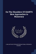 On the Shoulders of Giants New Approaches to Numeracy