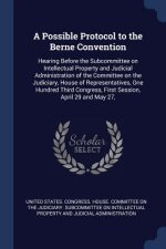 Possible Protocol to the Berne Convention