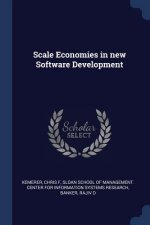 SCALE ECONOMIES IN NEW SOFTWARE DEVELOPM