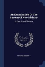 AN EXAMINATION OF THE SYSTEM OF NEW DIVI