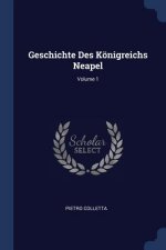 GESCHICHTE DES K NIGREICHS NEAPEL; VOLUM