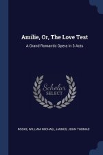 AMILIE, OR, THE LOVE TEST: A GRAND ROMAN