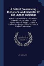 A CRITICAL PRONOUNCING DICTIONARY, AND E