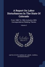 Report on Labor Disturbances in the State of Colorado