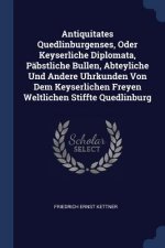 Antiquitates Quedlinburgenses, Oder Keyserliche Diplomata, Pabstliche Bullen, Abteyliche Und Andere Uhrkunden Von Dem Keyserlichen Freyen Weltlichen S