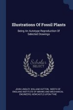 ILLUSTRATIONS OF FOSSIL PLANTS: BEING AN