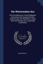 DIE WEINTRAUBEN-KUR: EINE DARSTELLUNG DE