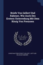 Briefe Von Gellert Und Rabener, Wie Auch Des Erstern Unterredung Mit Dem Koenig Von Preussen