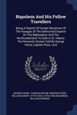 NAPOLEON AND HIS FELLOW TRAVELLERS: BEIN