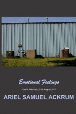 Emotional Feelings: Poems February 2016-August 2017