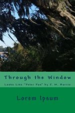 Through the Window: Looks Like 