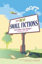 The Best Small Fictions 2017