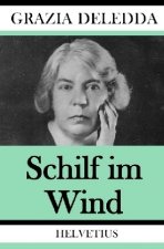 Schilf im Wind