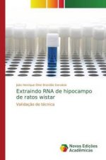 Extraindo RNA de hipocampo de ratos wistar