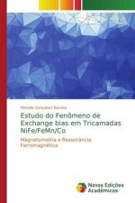 Estudo do Fenomeno de Exchange bias em Tricamadas NiFe/FeMn/Co