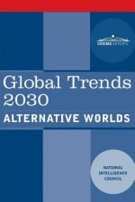 Global Trends 2030: Alternative Worlds