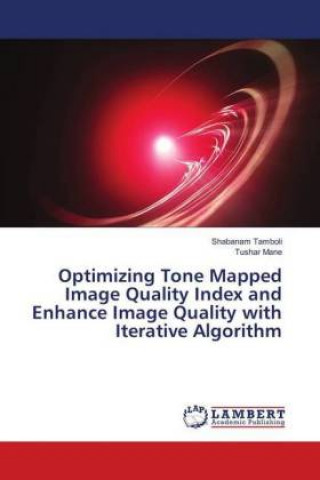 Optimizing Tone Mapped Image Quality Index and Enhance Image Quality with Iterative Algorithm
