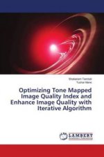 Optimizing Tone Mapped Image Quality Index and Enhance Image Quality with Iterative Algorithm