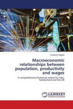 Macroeconomic relationships between population, productivity and wages