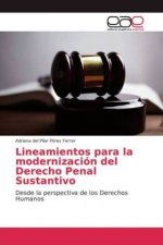 Lineamientos para la modernizacion del Derecho Penal Sustantivo
