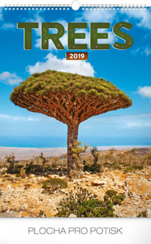 Stromy 2019, 33 x 46 c- nástěnný kalendář 2019