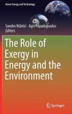 Role of Exergy in Energy and the Environment