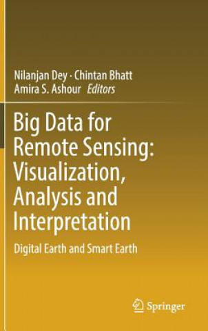 Big Data for Remote Sensing: Visualization, Analysis and Interpretation