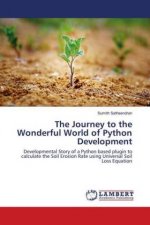 The Journey to the Wonderful World of Python Development