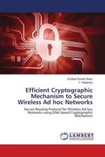 Efficient Cryptographic Mechanism to Secure Wireless Ad hoc Networks