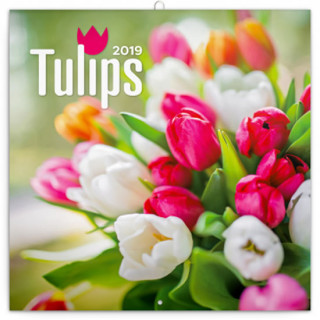 Poznámkový kalendář Tulipány 2019
