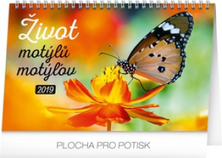 Život motýlů – motýlov C- stolní kalendář 2019