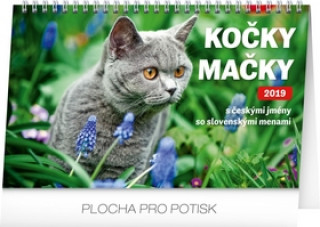 Kočky – Mačky CZ/SK 2019- stolní kalendář 2019