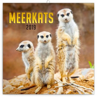 Poznámkový kalendář Surikaty 2019