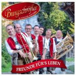 Freunde für's Leben - Instrumental, 1 Audio-CD