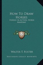 HOW TO DRAW HORSES