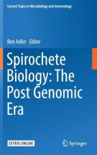 Spirochete Biology: The Post Genomic Era