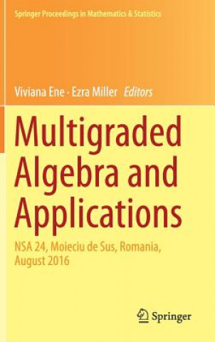 Multigraded Algebra and Applications