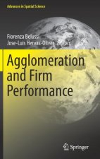 Agglomeration and Firm Performance