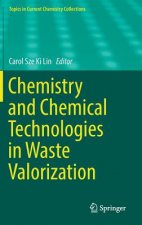 Chemistry and Chemical Technologies in Waste Valorization