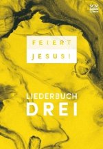Feiert Jesus! 3 - Ringbuch
