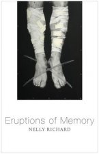 Eruptions of Memory, The Critique of Memory in Chile, 1990-2015